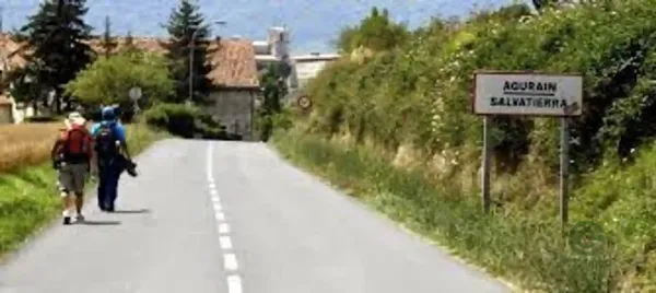 Spot image