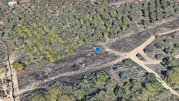 Spot image
