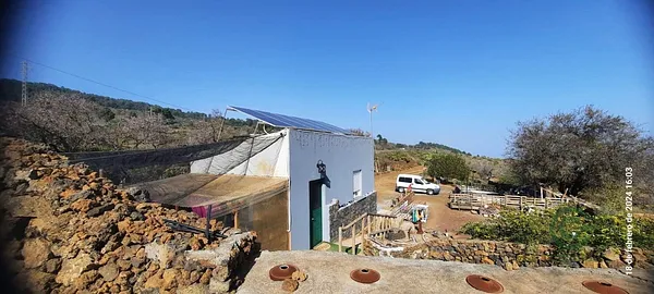 Spot image