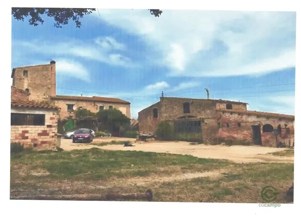 Spot image