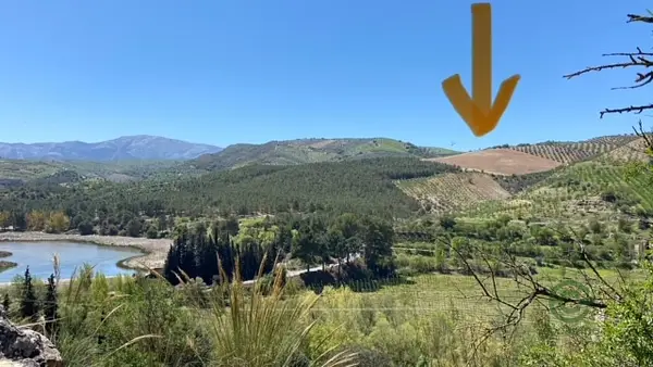 Spot image