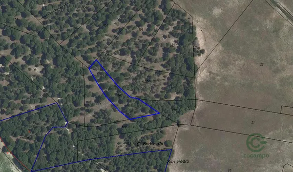 Spot image