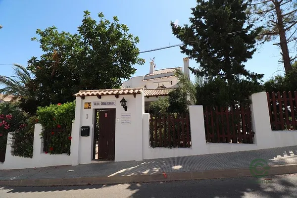Spot image