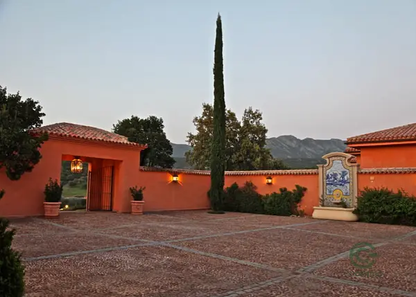 Spot image