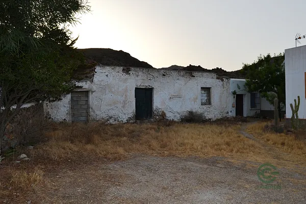 Spot image
