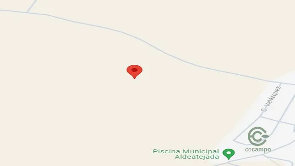 Spot image