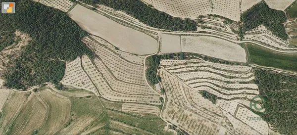 Spot image