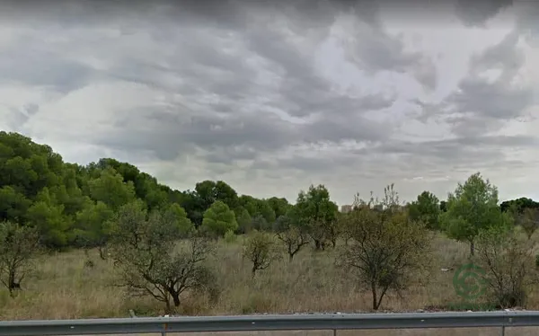 Spot image