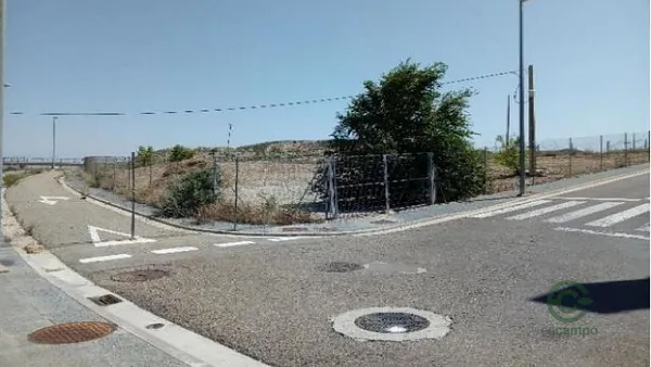 Spot image