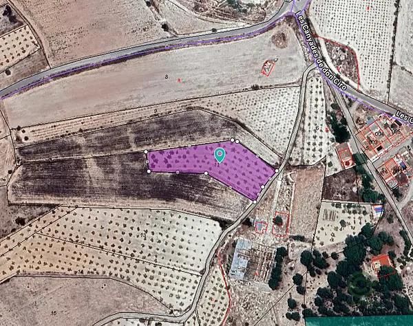 Spot image