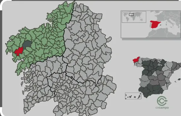 Spot image