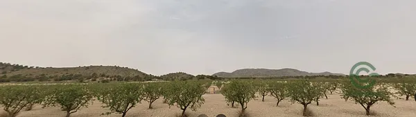 Spot image