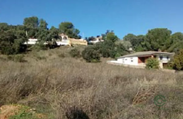 Spot image