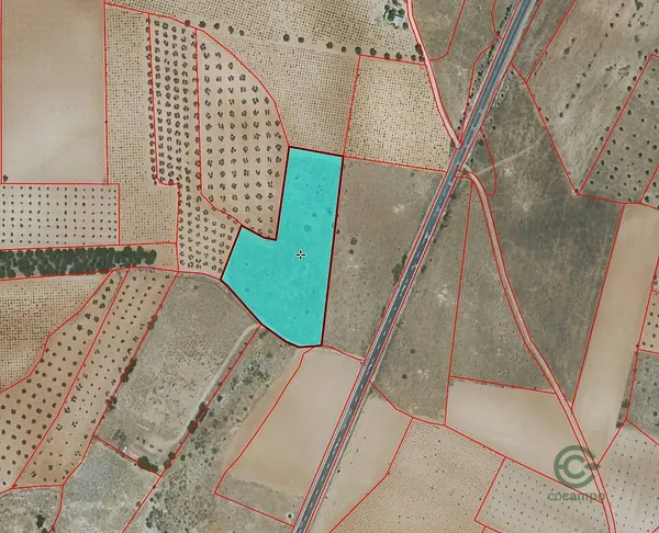 Spot image