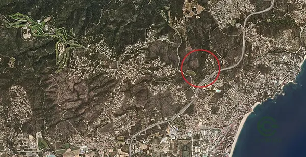 Spot image