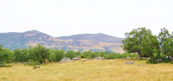 Spot image