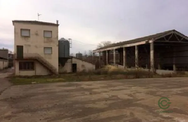 Spot image