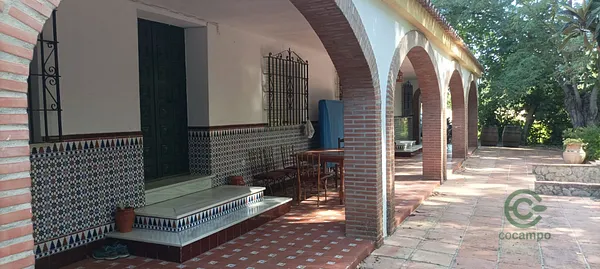 Spot image