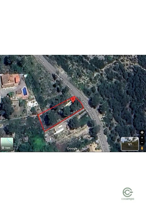 Spot image
