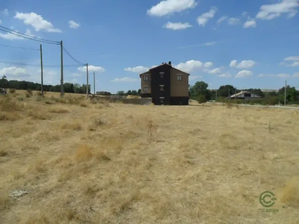 Spot image