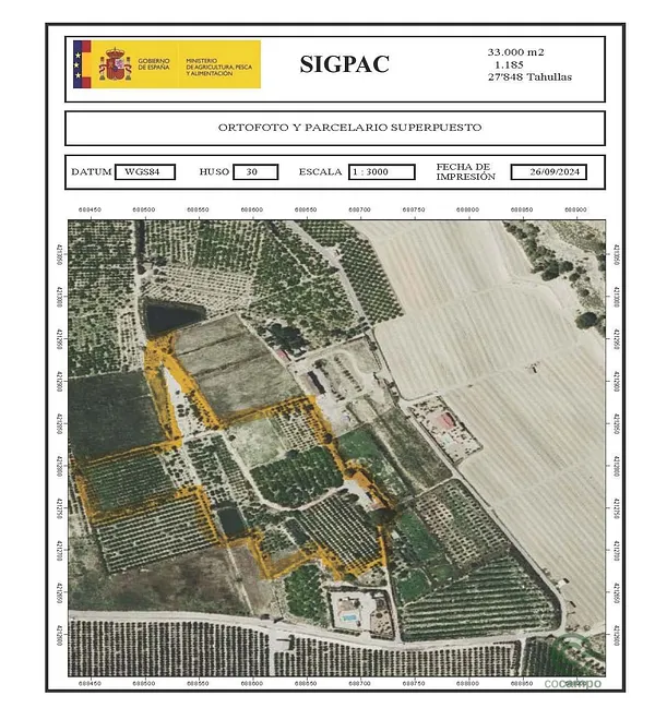 Spot image