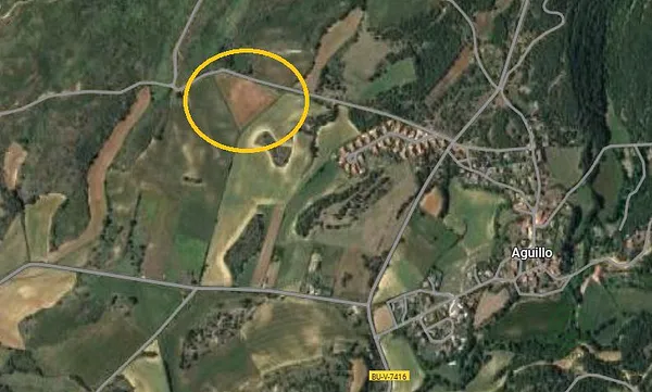 Spot image