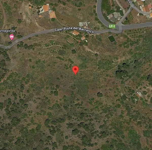 Spot image