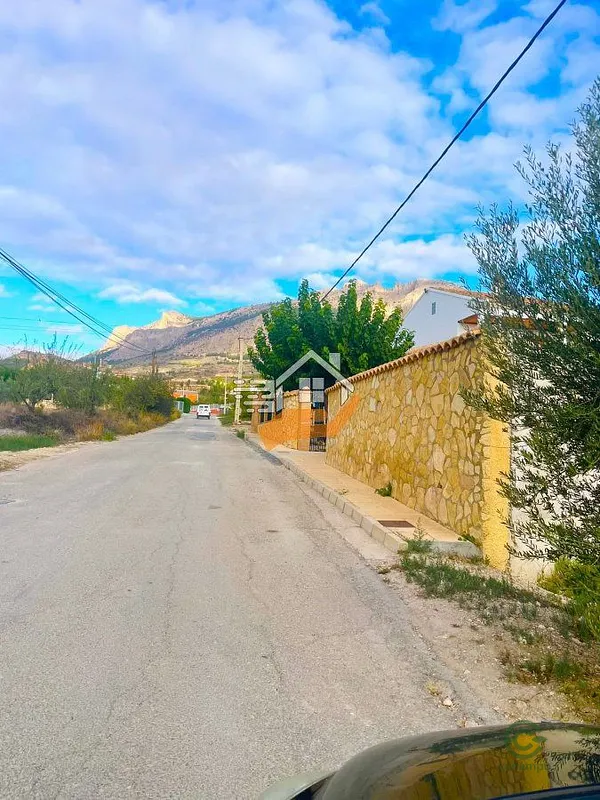 Spot image