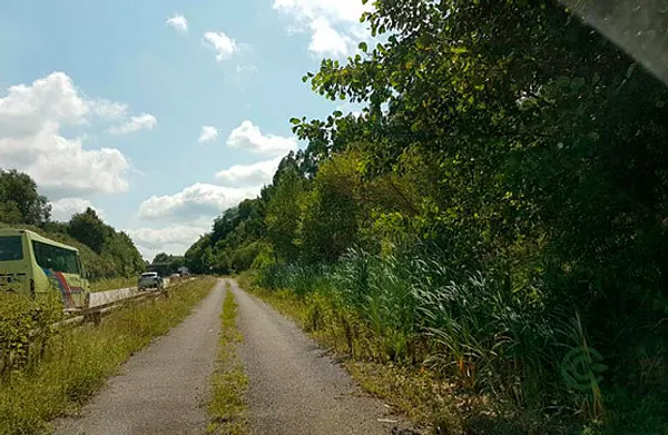 Spot image