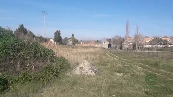 Spot image