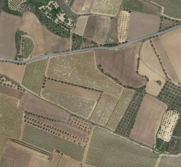 Spot image