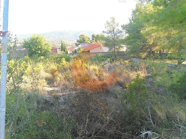 Spot image