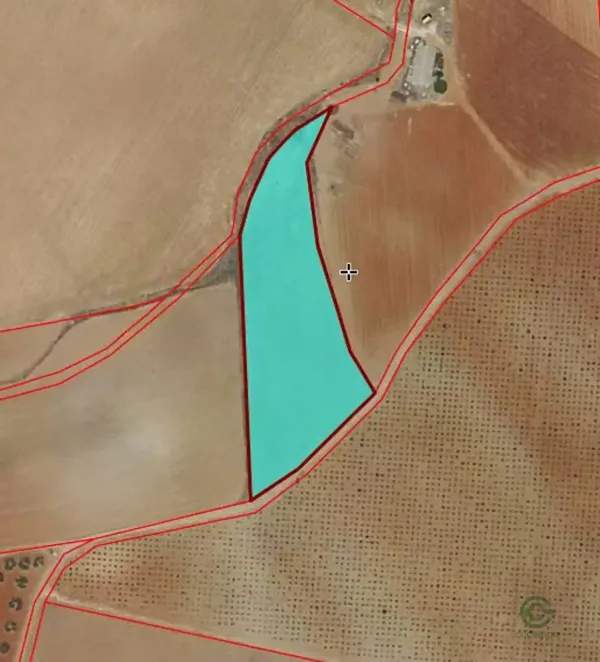 Spot image