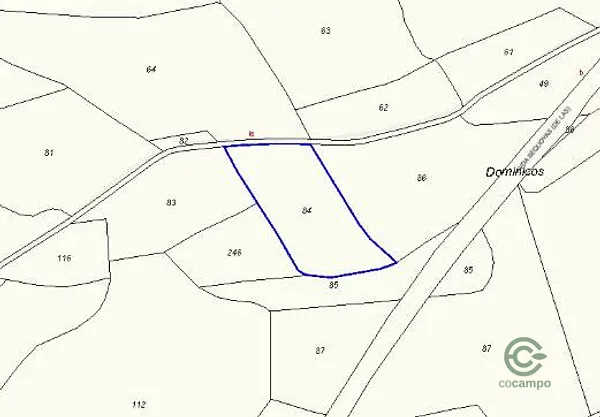 Spot image