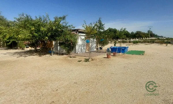 Spot image