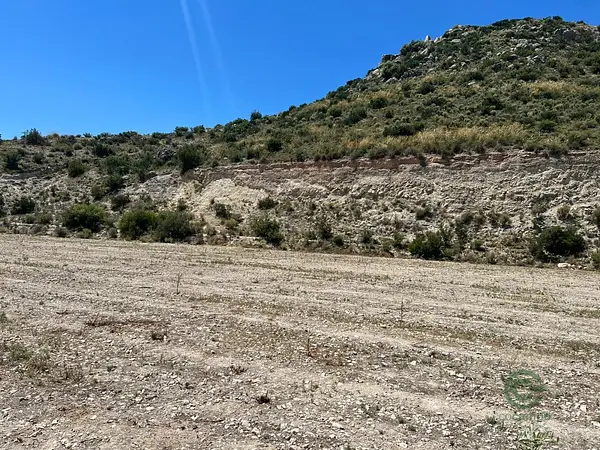 Spot image