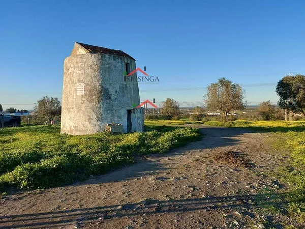 Spot image