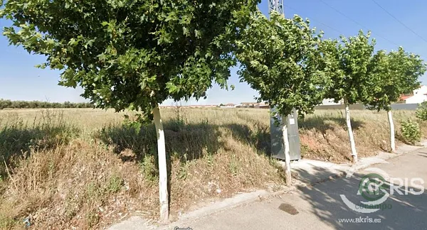 Spot image
