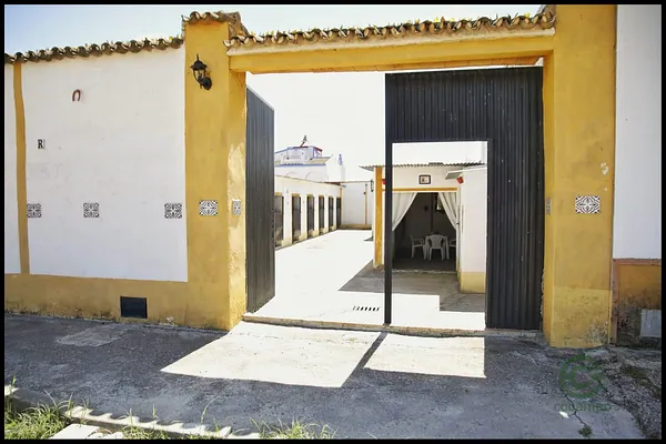 Spot image