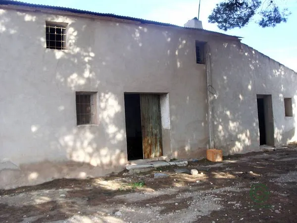 Spot image