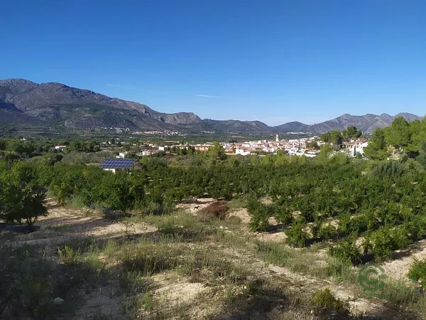 Spot image