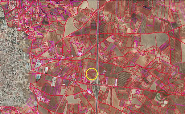 Spot image