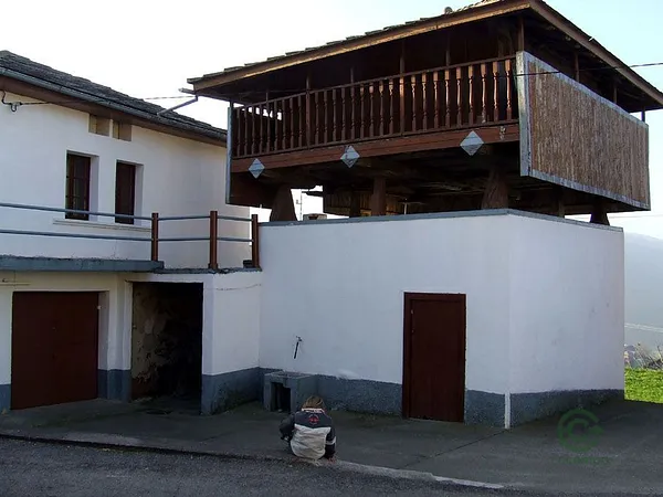 Spot image