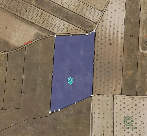 Spot image