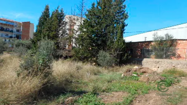 Spot image