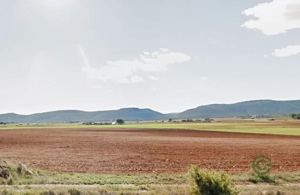 Spot image