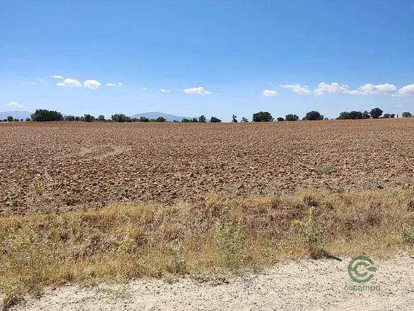 Spot image