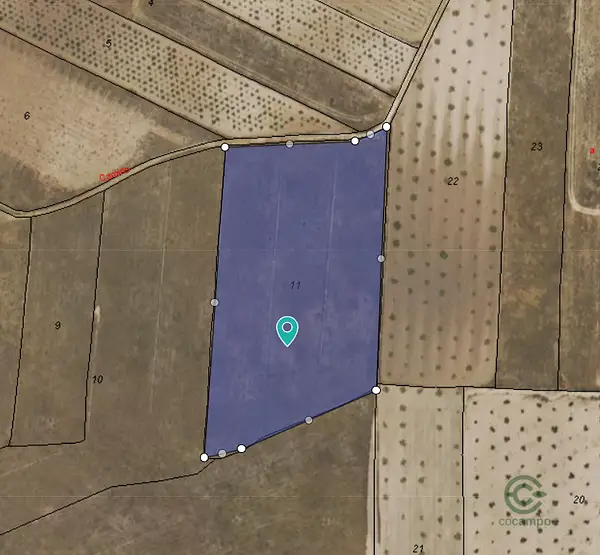 Spot image