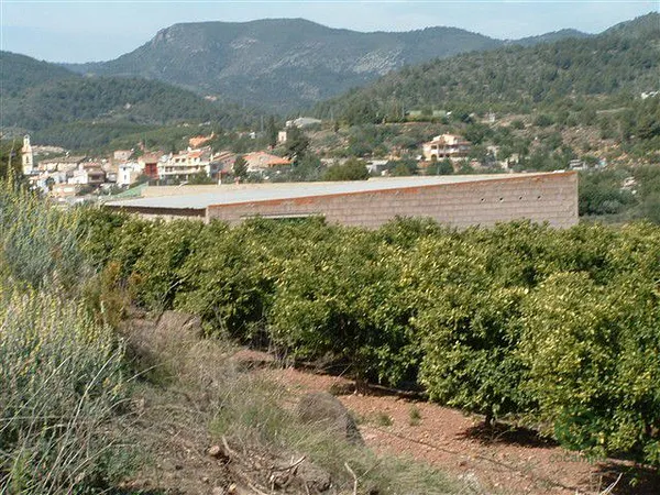 Spot image