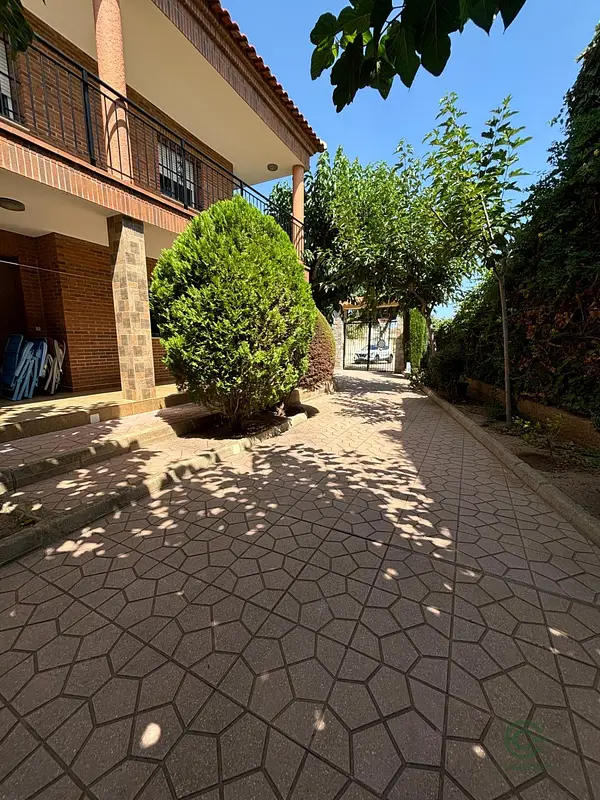Spot image
